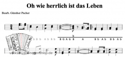 Oh wie herrlich ist das Leben - Griffschrift zum Download
