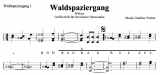 Waldspaziergang - v. Günther Pacher - Griffschrift zum Download