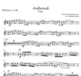 Aufwind Polka - für kleine Besetzung; v. Hans Krinner
